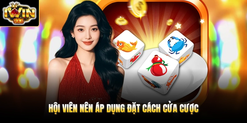 Hội viên nên áp dụng đặt cách cửa cược